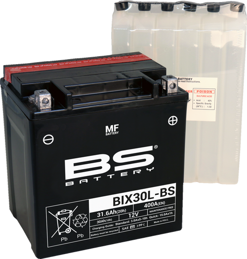 BS BATTERY 300753 Maintenance-Free Battery - BIX30L-BS (YIX)