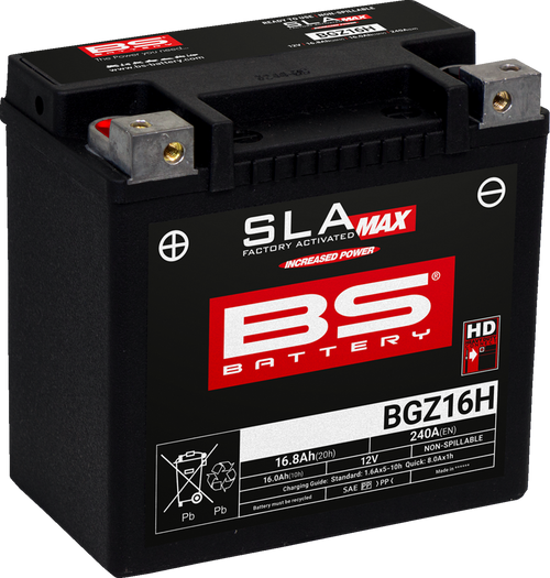 BS BATTERY 300931 SLA MAX Factory- Activated AGM Maintenance-Free Battery - BGZ16H (GYZ)
