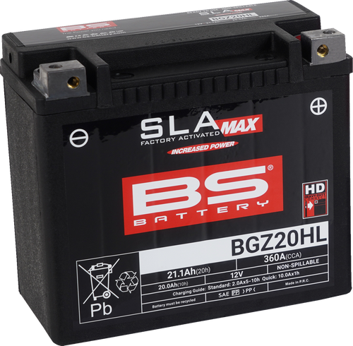 BS BATTERY 300939 SLA MAX Factory- Activated AGM Maintenance-Free Battery - BGZ20HL (GYZ)