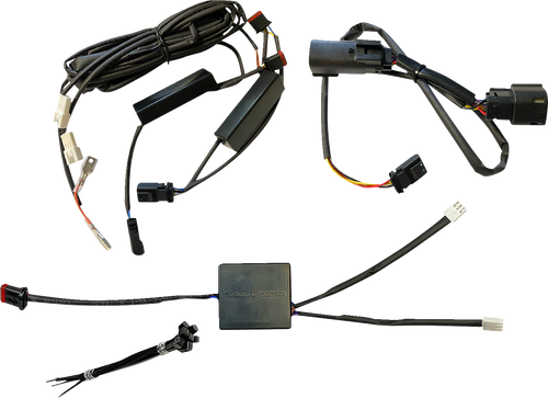 CUSTOM DYNAMICS CD-ALT-HORN-BCM Strobe Module - Horn Trigger