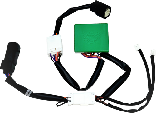 CUSTOM DYNAMICS CD-STP-23TP SMART Triple Play® Module - Harley-Davidson®