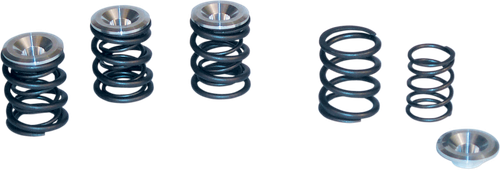 S&S CYCLE 90-2053 Valve Spring Kit - 0.550" Lift - Panhead | Shovelhead Engines '48-'84 - 0.550" Lift Panhead | Shovelhead Engines '48-'84