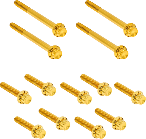 ARLEN NESS 300-931 Bolt Kit - Primary Cover - Titanium - 12-Point - Softail - Gold - Primary Cover Titanium 12-Point Softail Gold