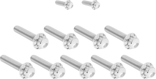 ARLEN NESS 300-932 Bolt Kit - Cam Cover/Point Cover - Titanium - 12-Point - Polished - Cam Cover/Point Cover Titanium 12-Point Polished