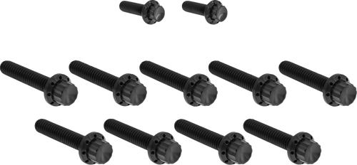 ARLEN NESS 300-933 Bolt Kit - Cam Cover/Point Cover - Titanium - 12-Point - Black - Cam Cover/Point Cover Titanium 12-Point Black