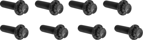 ARLEN NESS 300-936 Bolt Kit - Lifter Block - 12-Point - Titanium - Black - Lifter Block 12-Point Titanium Black