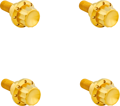 ARLEN NESS 300-811 Bolt Kit - Windshield - 12-Point - Titanium - Gold - Windshield 12-Point Titanium Gold