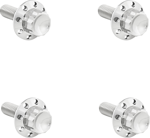 ARLEN NESS 300-815 Bolt Kit - Windshield - Titanium - 12-Point - Polished - Windshield Titanium 12-Point Polished