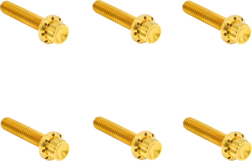 ARLEN NESS 300-702 Bolt Kit - Clutch Cover - Titanium - 12-Point - M8 Gen 2 - Gold - Clutch Cover Titanium 12-Point M8 Gen 2 Gold