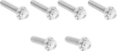ARLEN NESS 300-703 Bolt Kit - Cable Clutch - Titanium - 12-Point - M8/Twin Cam - Polished - Cable Clutch Titanium 12-Point M8/Twin Cam Polished