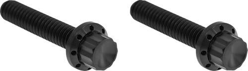 ARLEN NESS 300-707 Bolt Kit - Hydraulic Clutch - Titanium - 12-Point - M8/Twin Cam - Black - Hydraulic Clutch Titanium 12-Point M8/Twin Cam Black