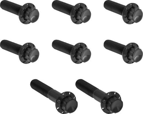 ARLEN NESS 300-713 Bolt Kit - Trap Door - Titanium - 12-Point - Twin Cam/6-Speed - Black - Trap Door Titanium 12-Point Twin Cam/6-Speed Black