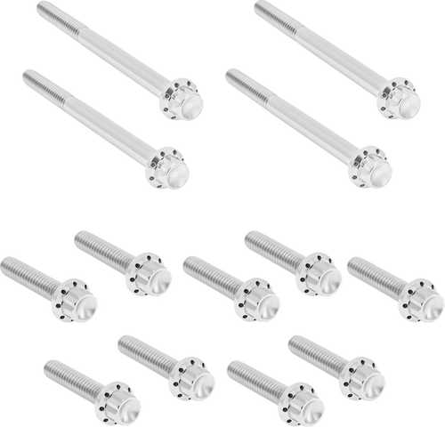 Open Box ARLEN NESS 300-926 Bolt Kit - Primary Cover - Titanium - 12-Point - FLT - Polished - Primary Cover Titanium 12-Point FLT Polished