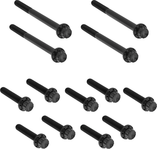 Open Box ARLEN NESS 300-930 Bolt Kit - Primary Cover - Titanium - 12-Point - Softail - Black - Primary Cover Titanium 12-Point Softail Black