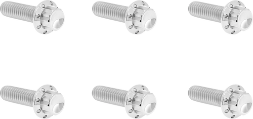 Open Box ARLEN NESS 300-947 Bolt Kit - Transmission Top Cover - 12-Point - Titanium - Polished - Transmission Top Cover 12-Point Titanium Polished