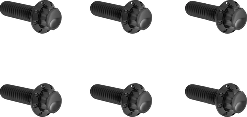 Open Box ARLEN NESS 300-948 Bolt Kit - Transmission Top Cover - 12-Point - Titanium - Black - Transmission Top Cover 12-Point Titanium Black