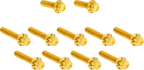 Open Box ARLEN NESS 300-982 Bolt Kit - Cam Cover/Point Cover - Titanium - 12-Point - Gold - Cam Cover/Point Cover Titanium 12-Point Gold