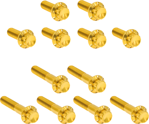 Open Box ARLEN NESS 300-994 Bolt Kit - Rocker Box - 12-Point - Titanium - Gold - Rocker Box 12-Point Titanium Gold