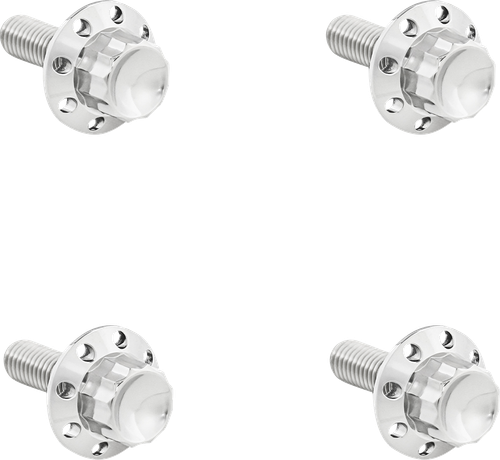 Open Box ARLEN NESS 300-815 Bolt Kit - Windshield - Titanium - 12-Point - Polished - Windshield Titanium 12-Point Polished
