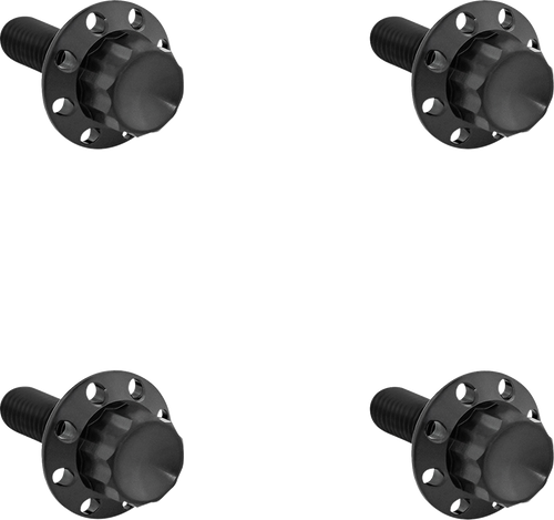 Open Box ARLEN NESS 300-816 Bolt Kit - Windshield - Titanium - 12-Point - Black - Windshield Titanium 12-Point Black