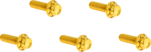 Open Box ARLEN NESS 300-925 Bolt Kit - Derby Cover - 12-Point - Titanium - Gold - Derby Cover 12-Point Titanium Gold