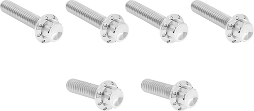 Open Box ARLEN NESS 300-703 Bolt Kit - Cable Clutch - Titanium - 12-Point - M8/Twin Cam - Polished - Cable Clutch Titanium 12-Point M8/Twin Cam Polished