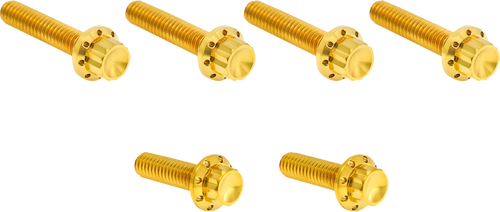 Open Box ARLEN NESS 300-705 Bolt Kit - Cable Clutch - Titanium - 12-Point - M8/Twin Cam - Gold - Cable Clutch Titanium 12-Point M8/Twin Cam Gold