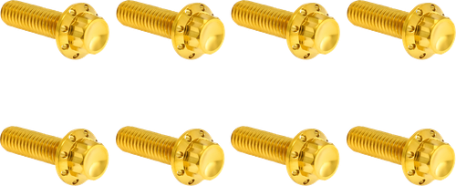 Open Box ARLEN NESS 300-711 Bolt Kit - Trap Door - Titanium - 12-Point - M8 - Gold - Trap Door Titanium 12-Point M8 Gold