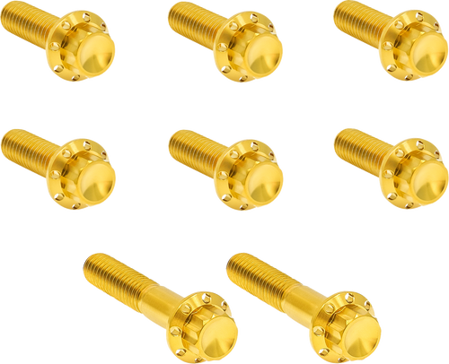 Open Box ARLEN NESS 300-714 Bolt Kit - Trap Door - Titanium - 12-Point - Twin Cam/6-Speed - Gold - Trap Door Titanium 12-Point Twin Cam/6-Speed Gold