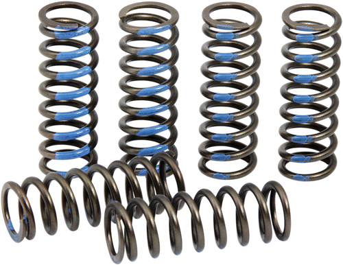 PRO CIRCUIT CSY19250-CS Clutch Spring Set - YZ 250F