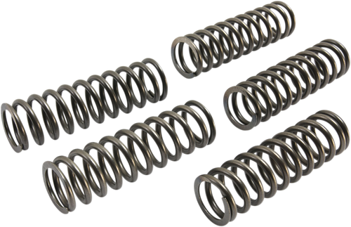 EBC CSK223 CSK Clutch Spring Set