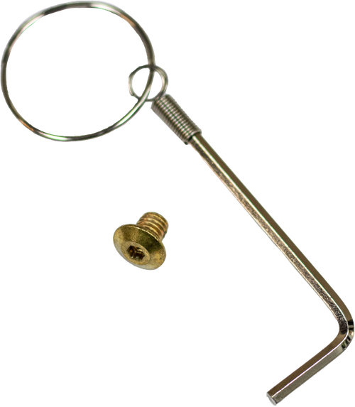SCORPION EXO 52-802-03 EXO-HX1 SIDE SCREWS BRASS