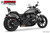 Freedom Performance INDIAN CHIEF/SPORT/BOBBER/SUPER/LIMITED/2026 VINTAGE RADICAL RADIUS 2022 to PRESENT Bundle - IN00466 - BLACK / SLASH / SOLID GOLD
