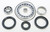 ALL BALLS 25-2045 REAR DIFFERENTIAL BEARING AND SEAL KIT