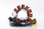 RICK'S MOTORSPORT ELECTRICS 21-556 STATOR