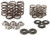 HOT CAMS SKYFM660S2 RAPTOR SPRING KIT/ TI RETAINERS