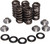 KPMI 40-40700 RACING VALVE SPRING KIT