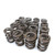Skunk2 Tuner Series Honda/Acura (H22A/F20B) DOHC VTEC Alpha Valve Spring Set (Dual Springs) - 311-05-1360