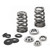 Supertech Nissan VR30DDTT Conical Valve Spring Kit - SPRK-FM46-VR30-BE2