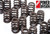 GSC P-D 4G63T EVO 8-9 Stage 1 Beehive Valve Springs (Use Factory Retainers and Spring Seats) - 5039