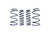 Ford Racing 2013 Cobra Jet Spring Kit - M-5300-RA