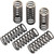 Moose Offroad Clutch Springs - Honda/Suzuki [MHDS326]