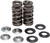 KIBBLEWHITE Valve Spring Kit - 0.480" Lift - Yamaha [8080410]