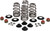 KIBBLEWHITE Beehive Spring Kit - 0.610" Lift - Twin Cam | XL | XR1200 [2021400]