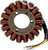 RICK'S MOTORSPORT ELECTRIC Stator - Sea-Doo [21W101]