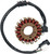 RICK'S MOTORSPORT ELECTRIC Stator - Hot Shot - Yamaha [21966H]