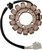 RICK'S MOTORSPORT ELECTRIC Stator - Suzuki GSX-R1000 [21338]