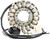 RICK'S MOTORSPORT ELECTRIC OE Style Stator - '08-'15 Arctic Cat [24009]