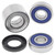 ALL BALLS 25-1729 INDIAN REAR WHEEL BEARING KIT