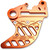 PSR Rear Disc Guard - Orange [080410128]